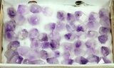 Amethyst Crystal Points Wholesale Lot - Pieces #59926-1